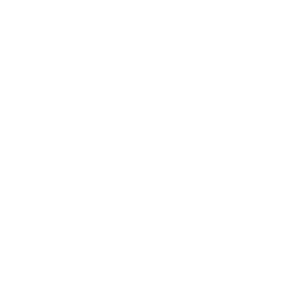 PN logo white